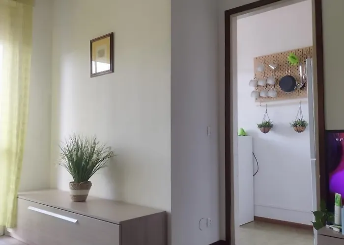 Mini Apartment Close To Everything You Will Need