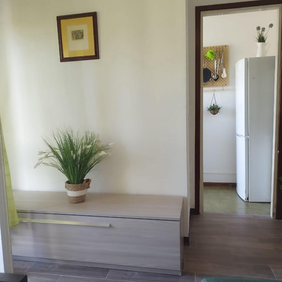 Apartment Mini Close To Everything Will Need